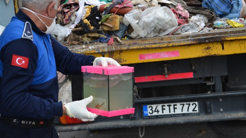 Gebze zabıtasından çöp ev operasyonu: 17 kamyon çöp çıktı...