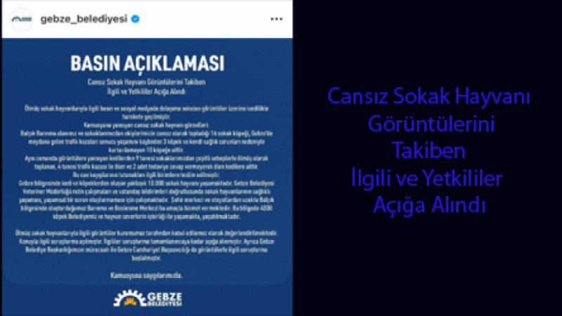 Gebze Belediyesi Hayvan Barınağı’ndaki o yetkililer açığa alındı”