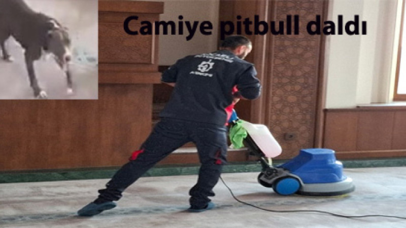 Valllik ve Büyükşehir'den 